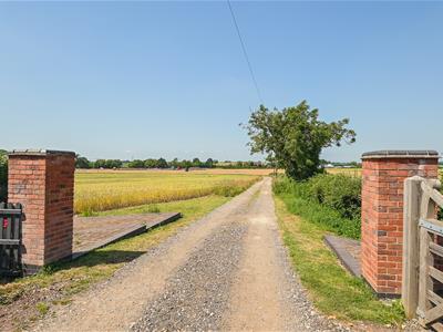 Picture 42